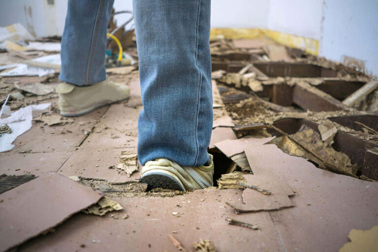 Telltale signs of termites
